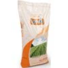 Arachides Non-Pelée 10kg -Duvo -Deli Nature Soldes arachides non pelee 10kg duvo 423 duvo arachides non pelee 10kg duvo