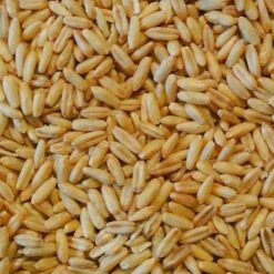 Avoine Pelée 25kg - Duvo 5 Avoine Pelée 25kg - Duvo -Deli Nature Soldes avoine pelee 25kg duvo 615 duvo avoine pelee 25kg duvo 1