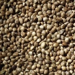 Chanvre Moyen 20kg - Duvo -Deli Nature Soldes chanvre moyen 20kg duvo 449 duvo chanvre moyen 20kg duvo 1