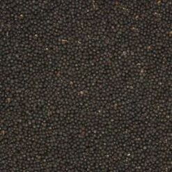 Colza 20kg - Duvo -Deli Nature Soldes colza 20kg duvo 451 duvo colza 20kg duvo 1