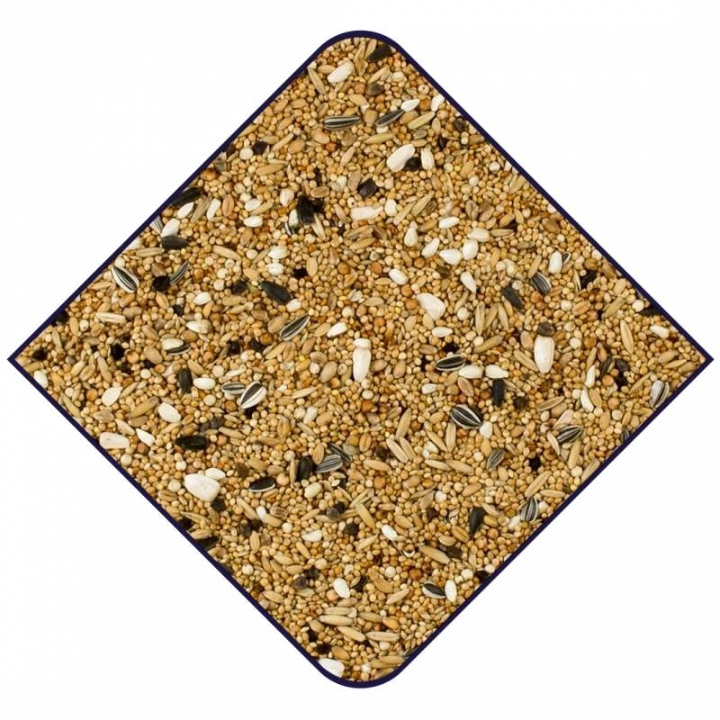 Expert Base Grandes Perruches 20kg - Witte Molen 4 Expert Base Grandes Perruches 20kg - Witte Molen – Image 2