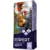Expert Base Oiseaux Tropicaux 20kg - Witte Molen -Deli Nature Soldes expert base oiseaux tropicaux 20kg witte molen 652224 witte molen specifications melange economique description ce melange de ba