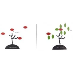 Flora+ 250gr - Deli Nature 6 Flora+ 250gr - Deli Nature -Deli Nature Soldes flora 250gr deli nature 023067 deli nature flora est un stabilisateur intestinal avec un effet probiotique developpe grace a une 1