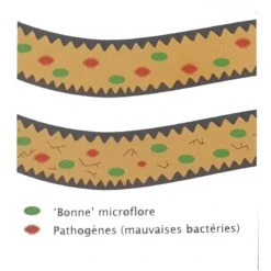 Flora+ 250gr - Deli Nature 7 Flora+ 250gr - Deli Nature -Deli Nature Soldes flora 250gr deli nature 023067 deli nature flora est un stabilisateur intestinal avec un effet probiotique developpe grace a une 2