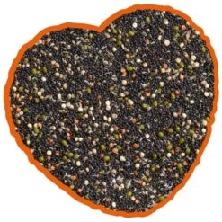 Graines De Germination Mix 20kg - Duvo+ -Deli Nature Soldes graines de germination mix 20kg duvo 12306 duvo specifications alimentation delicieuse et equilibree pleine de graines nutritive 1