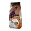 Grand Perruche Mix 20kg - Duvo+ -Deli Nature Soldes grand perruche mix 20kg duvo 12309 duvo specifications alimentation delicieuse et equilibree pleine de graines nutritives convie