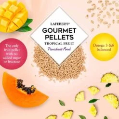 Granulés Gourmands Fruits Tropicaux Parrot 1,8kg - Lafeber's 5 Granulés Gourmands Fruits Tropicaux Parrot 1,8kg - Lafeber's -Deli Nature Soldes granules gourmands fruits tropicaux parrot 18kg lafebers lf52652 lafebers le lafeber gourmet pellets tropical fruit parrot est u 1