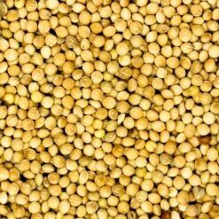 Millet Blanc Extra 20kg - Duvo -Deli Nature Soldes millet blanc extra 20kg duvo 570 duvo millet blanc extra 20kg duvo 1