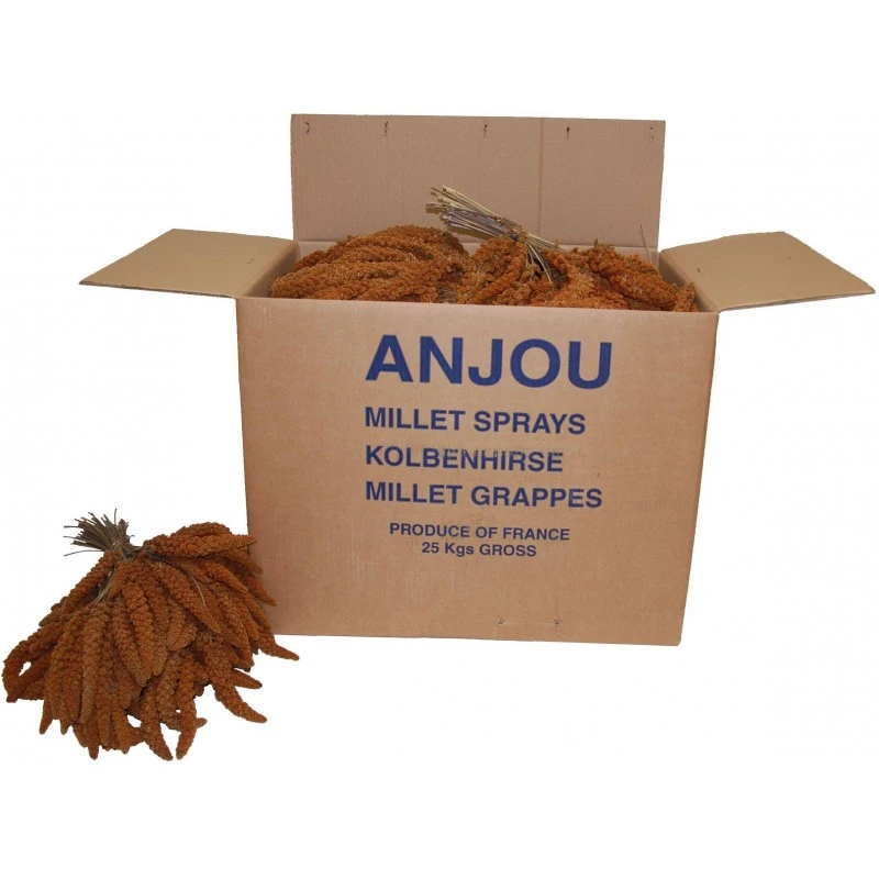 Millet Rouge En Grappes Anjou 25kg 3 Millet Rouge En Grappes Anjou 25kg