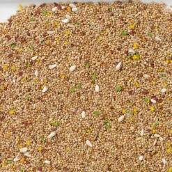 N°11 Perruches Colormix 20kg - Deli Nature -Deli Nature Soldes n11 perruches colormix 20kg deli nature 006411 deli nature est un melange de base standard enrichi de morceaux de biscuits aux f 1