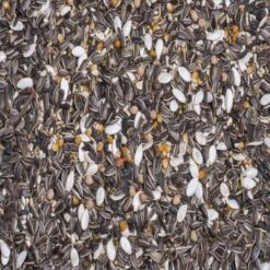 N°28 Graines à Germer Perroquet 10kg - Deli Nature -Deli Nature Soldes n28 graines a germer perroquet 10kg deli nature 006428 deli nature melange a germer developpe pour la collection de perroquets u 1