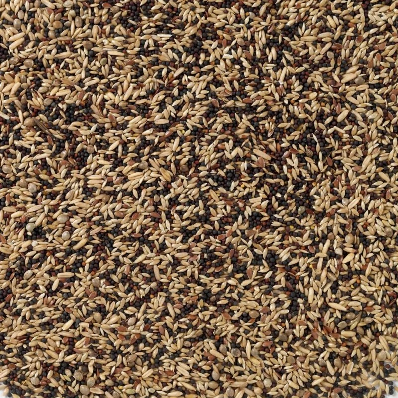 N°50 Canaris Base 20kg - Deli Nature 4 N°50 Canaris Base 20kg - Deli Nature – Image 2