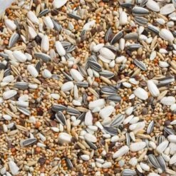 N°69 Grandes Perruches Avec Tournesols 20kg - Deli Nature -Deli Nature Soldes n69 grandes perruches avec tournesols 20kg deli nature 006469 deli nature est un melange tres varie contenant 10 de graines de t 1