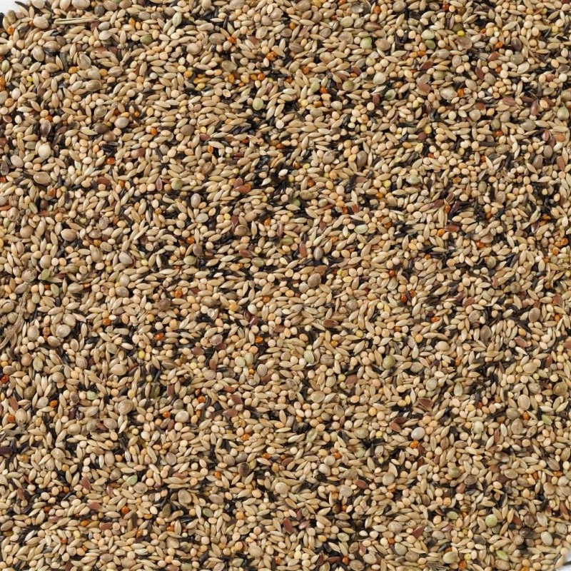 N°70 Neophema Premium 20kg - Deli Nature 4 N°70 Neophema Premium 20kg - Deli Nature – Image 2