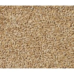 N°86 Alpistes Extra 20kg - Deli Nature -Deli Nature Soldes n86 alpistes extra 20kg deli nature 002986 deli nature n86 alpistes extra 20kg deli nature 1