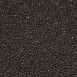 Navette Canada 20kg - Duvo -Deli Nature Soldes navette canada 20kg duvo 479 duvo navette canada 20kg duvo 1