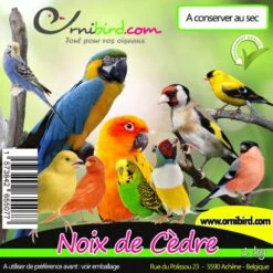 Deli Nature Soldes -Deli Nature Soldes noix de cedre au kg ornibird 103013250 kg private label ornibird noix de cedre au kg ornibird 1