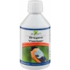 Oregano Vloeibaar / Oregano Liquid 250ml - Avian 1 Oregano Vloeibaar / Oregano Liquid 250ml - Avian -Deli Nature Soldes oregano vloeibaar oregano liquid 250ml avian 11397 avian avian liquide dorigan est un aliment complementaire pour les oiseaux on