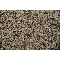 Deli Nature ORNIBIRD - CANARIS PRO DIGEST 20kg, Mélange Haute Qualité Pour Canaris -Deli Nature Soldes ornibird canaris pro digest 20kg melange haute qualite pour canaris 700126 deli nature nouveau melange ornibird lance son premie 1