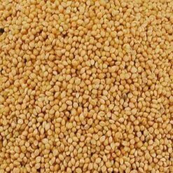 Panis Jaune 20kg - Duvo -Deli Nature Soldes panis jaune 20kg duvo 473 duvo panis jaune 20kg duvo 1