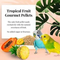 Tropical Fruit Gourmet Pellets Perruche 567gr - Lafeber's 5 Tropical Fruit Gourmet Pellets Perruche 567gr - Lafeber's -Deli Nature Soldes tropical fruit gourmet pellets perruche 567gr lafebers lf52630 lafebers le lafeber gourmet pellets tropical fruit perruche est u 1