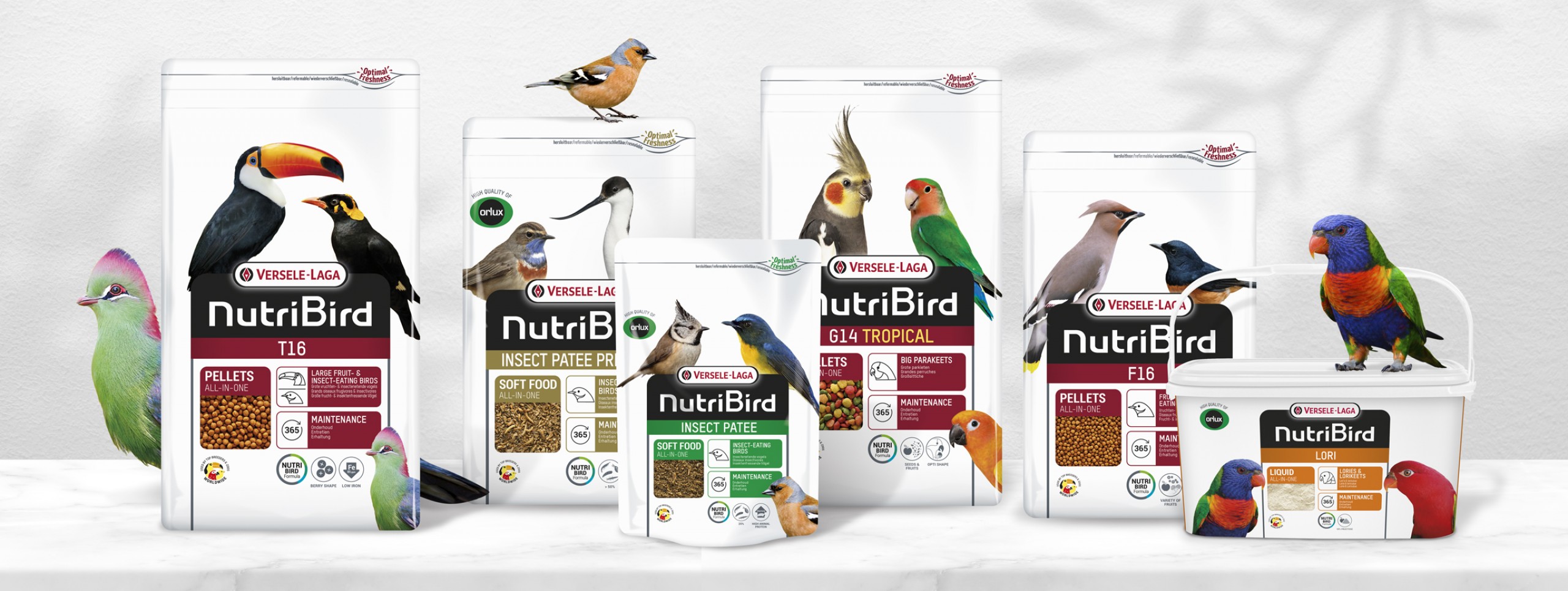 Deli Nature Soldes -Deli Nature Soldes 28a73af641c7e0d62478f0d2a99bf89c250